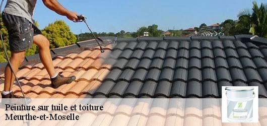 Peinture sur tuile et toiture Meurthe-et-Moselle 