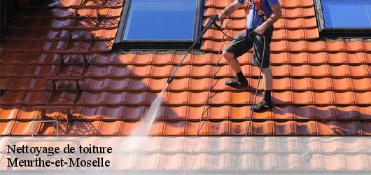 Nettoyage de toiture Meurthe-et-Moselle 