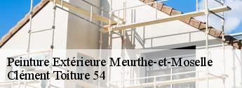 Peinture Extérieure 54 Meurthe-et-Moselle  Clément Toiture 54