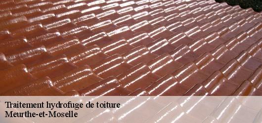 Traitement hydrofuge de toiture Meurthe-et-Moselle
