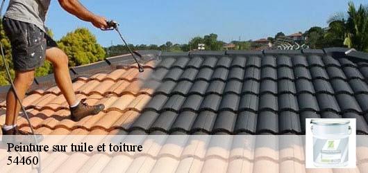 Peinture sur tuile et toiture 54460