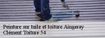 Peinture sur tuile et toiture  aingeray-54460 Clément Toiture 54