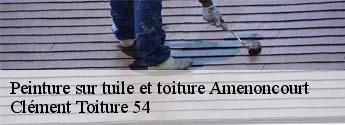 Peinture sur tuile et toiture  amenoncourt-54450 Clément Toiture 54