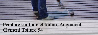 Peinture sur tuile et toiture  angomont-54540 Clément Toiture 54