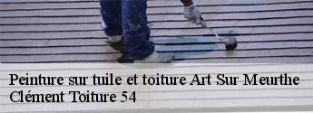 Peinture sur tuile et toiture  art-sur-meurthe-54510 Clément Toiture 54
