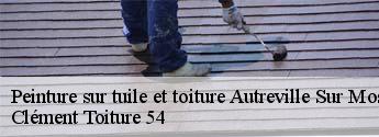 Peinture sur tuile et toiture  autreville-sur-moselle-54380 Clément Toiture 54