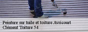 Peinture sur tuile et toiture  avricourt-54450 Clément Toiture 54
