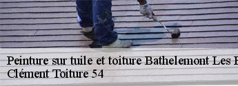 Peinture sur tuile et toiture  bathelemont-les-bauzemont-54370 Clément Toiture 54