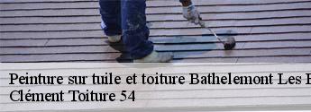 Peinture sur tuile et toiture bathelemont-les-bauzemont-54370 Clément Toiture 54