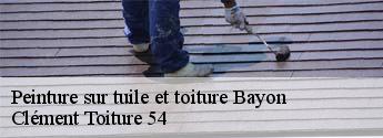 Peinture sur tuile et toiture  bayon-54290 Clément Toiture 54