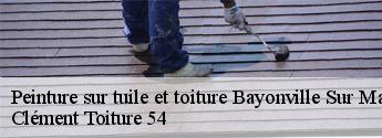 Peinture sur tuile et toiture  bayonville-sur-mad-54890 Clément Toiture 54