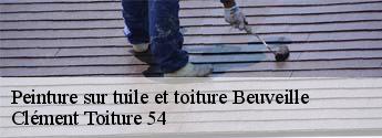 Peinture sur tuile et toiture  beuveille-54620 Clément Toiture 54