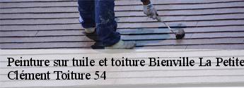 Peinture sur tuile et toiture  bienville-la-petite-54300 Clément Toiture 54