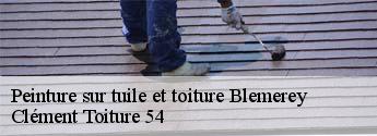 Peinture sur tuile et toiture  blemerey-54450 Clément Toiture 54