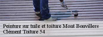 Peinture sur tuile et toiture  mont-bonvillers-54111 Clément Toiture 54