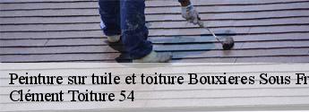 Peinture sur tuile et toiture bouxieres-sous-froidmont-54700 Clément Toiture 54