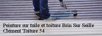Peinture sur tuile et toiture  brin-sur-seille-54280 Clément Toiture 54