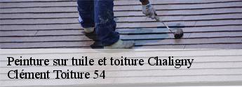Peinture sur tuile et toiture  chaligny-54230 Clément Toiture 54