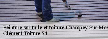 Peinture sur tuile et toiture  champey-sur-moselle-54700 Clément Toiture 54