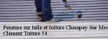 Peinture sur tuile et toiture champey-sur-moselle-54700 Clément Toiture 54