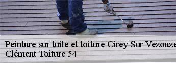 Peinture sur tuile et toiture  cirey-sur-vezouze-54480 Clément Toiture 54