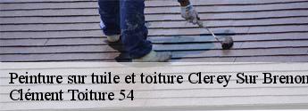 Peinture sur tuile et toiture clerey-sur-brenon-54330 Clément Toiture 54