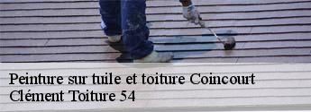 Peinture sur tuile et toiture coincourt-54370 Clément Toiture 54