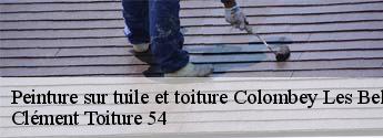 Peinture sur tuile et toiture  colombey-les-belles-54170 Clément Toiture 54