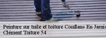 Peinture sur tuile et toiture conflans-en-jarnisy-54800 Clément Toiture 54