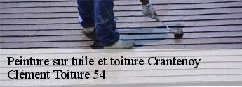 Peinture sur tuile et toiture  crantenoy-54740 Clément Toiture 54