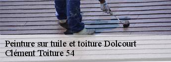 Peinture sur tuile et toiture  dolcourt-54170 Clément Toiture 54