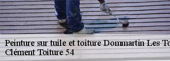 Peinture sur tuile et toiture  dommartin-les-toul-54200 Clément Toiture 54