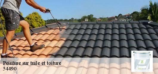 Peinture sur tuile et toiture 54490