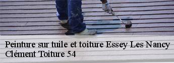 Peinture sur tuile et toiture  essey-les-nancy-54270 Clément Toiture 54