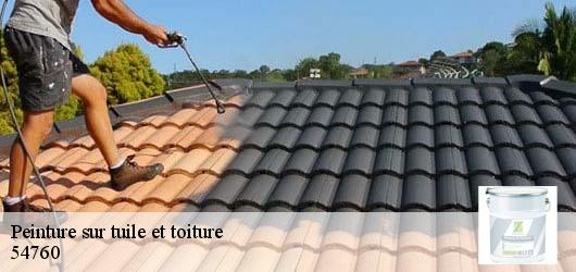 Peinture sur tuile et toiture 54760
