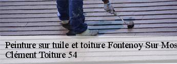 Peinture sur tuile et toiture  fontenoy-sur-moselle-54840 Clément Toiture 54
