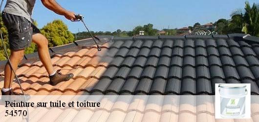 Peinture sur tuile et toiture 54570