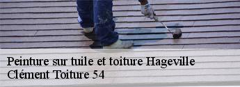 Peinture sur tuile et toiture  hageville-54470 Clément Toiture 54