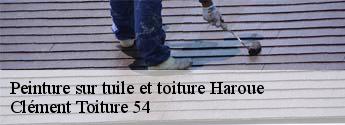 Peinture sur tuile et toiture  haroue-54740 Clément Toiture 54