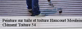 Peinture sur tuile et toiture haucourt-moulaine-54860 Clément Toiture 54