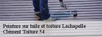 Peinture sur tuile et toiture  lachapelle-54120 Clément Toiture 54