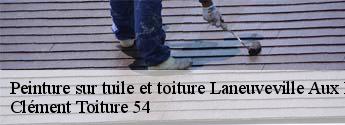 Peinture sur tuile et toiture  laneuveville-aux-bois-54370 Clément Toiture 54
