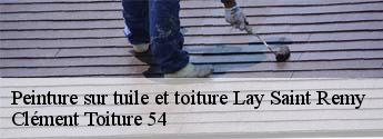 Peinture sur tuile et toiture  lay-saint-remy-54570 Clément Toiture 54
