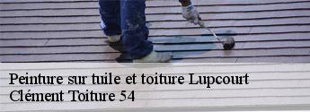 Peinture sur tuile et toiture  lupcourt-54210 Clément Toiture 54