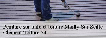Peinture sur tuile et toiture  mailly-sur-seille-54610 Clément Toiture 54