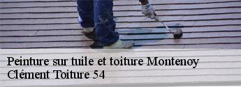 Peinture sur tuile et toiture  montenoy-54760 Clément Toiture 54