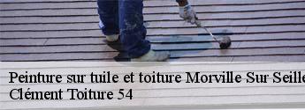 Peinture sur tuile et toiture  morville-sur-seille-54700 Clément Toiture 54