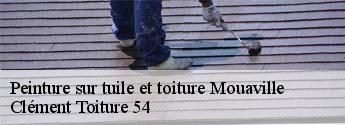 Peinture sur tuile et toiture  mouaville-54800 Clément Toiture 54