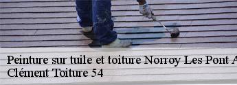 Peinture sur tuile et toiture  norroy-les-pont-a-mousson-54700 Clément Toiture 54