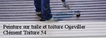 Peinture sur tuile et toiture  ogeviller-54450 Clément Toiture 54